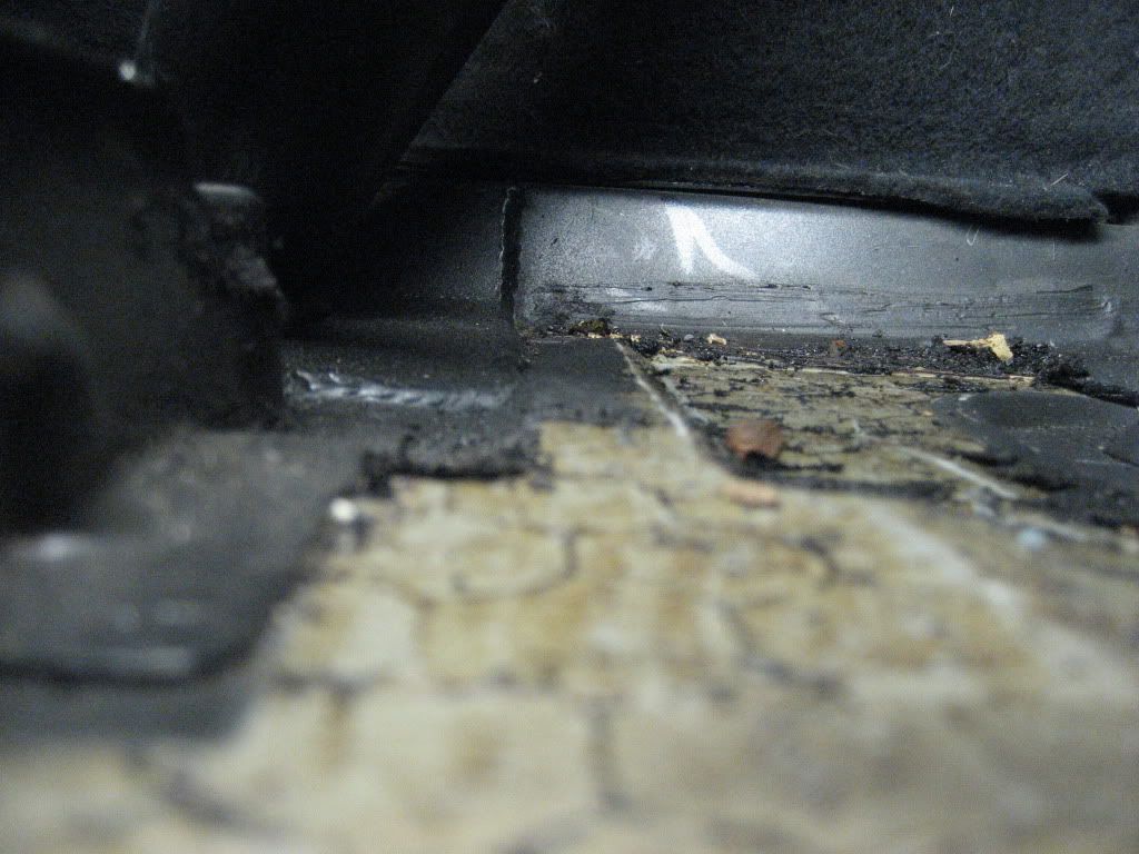 My rear end creaking and popping (problem identified)